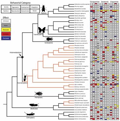 Origins of Aminergic Regulation of Behavior in Complex Insect Social Systems